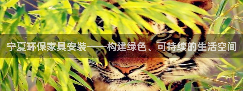 沐鸣平台手机app