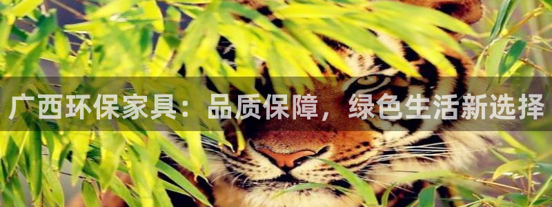 沐鸣官方：广西环保家具：品质保障，绿色生活新选择