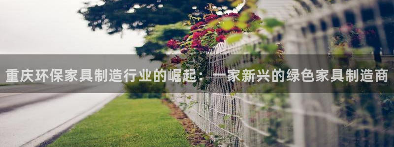 沐鸣平台开户：重庆环保家具制造行业的崛起：一家新兴的绿色家具