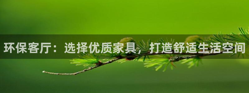 沐鸣平台服务中心怎么样：环保客厅：选择优质家具，打造舒适生活