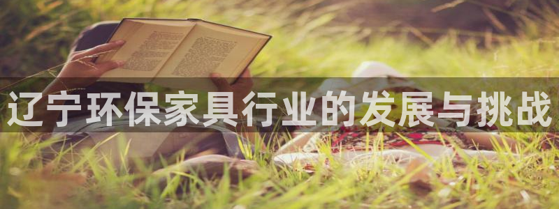 沐鸣平台代理登录网址查询：辽宁环保家具行业的发展与挑战