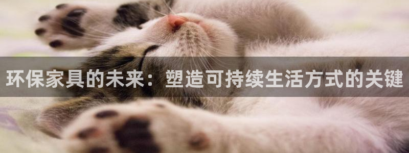 沐鸣平台代理怎么赚钱：环保家具的未来：塑造可持续生活方式的关