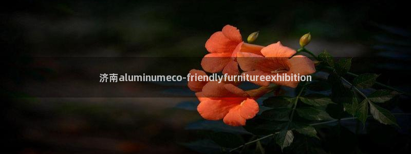 沐鸣平台官方网站下载：济南aluminumeco-frien