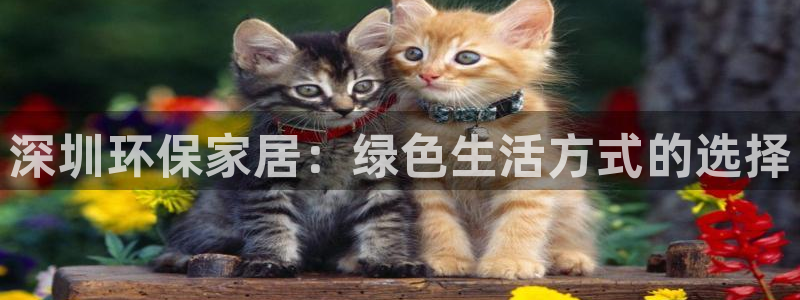 沐鸣平台靠谱吗：深圳环保家居：绿色生活方式的选择